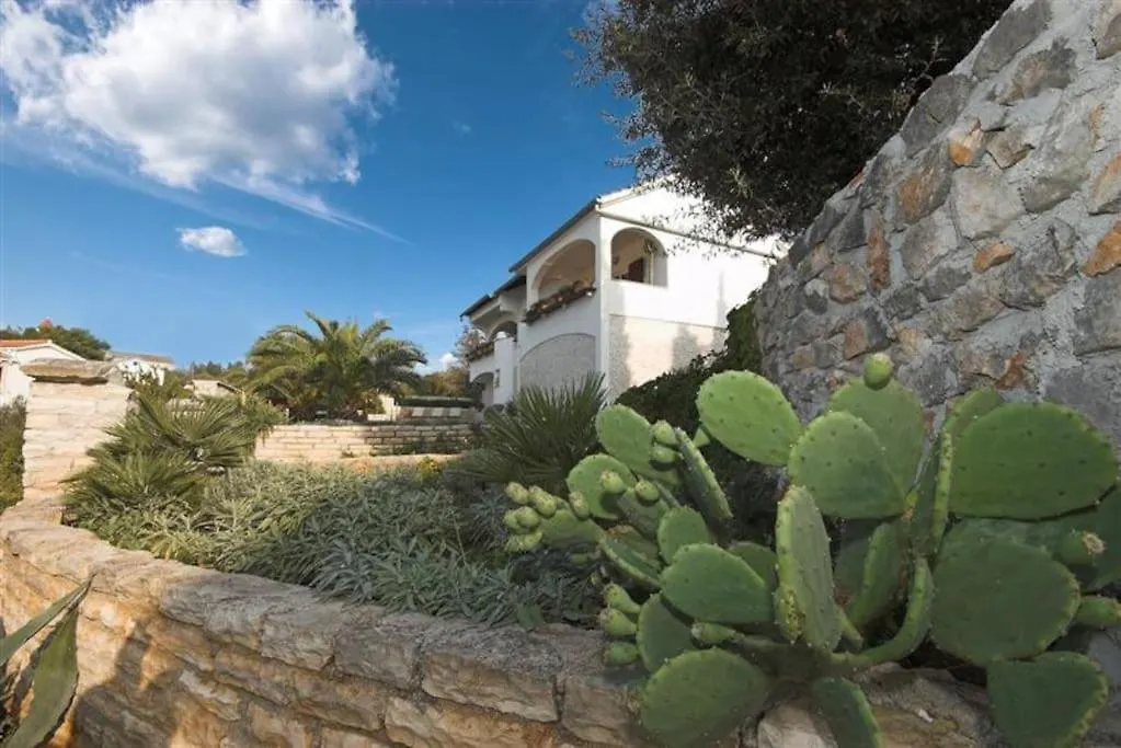 Villa Nikolina Molat